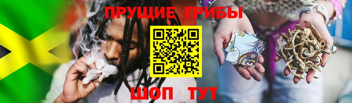 Псилоцибиновые грибы Psilocybe Ишимбай